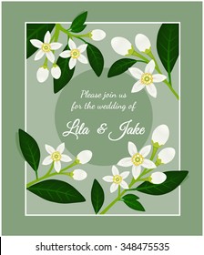 Orange blossom branch with flowers, buds and leaves. Wedding invitation card with fleur d'orange. Neroli design composition. Vector illustration for use in web design, print or other visual area.