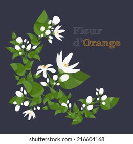 Orange Blossom Branches