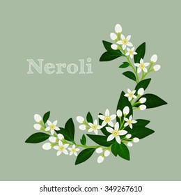 Orange blossom wreath with flowers, buds and leaves. Wedding invitation card with fleur d'orange. Neroli design composition. Vector illustration for use in web design, print or other visual area.