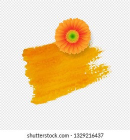 Orange Blot With Gerber Transparent Background With Gradient Mesh, Vector Illustration
