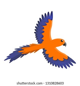 Orange blue parrot icon. Cartoon of orange blue parrot vector icon for web design isolated on white background