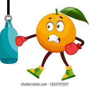 Orange boxing, illustration, vector on white background.