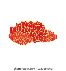 orange brain coral sea life nature icon vector illustration design