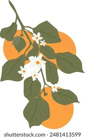 Rama naranja para diferentes fines de uso.