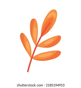 orange branch with leafs icon