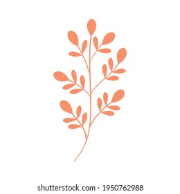 rama naranja con diseño de hojas