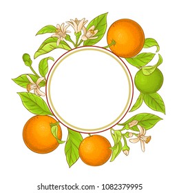 orange branch vector frame