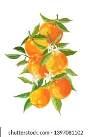 Orange branches and flowers on a white background. Fruit bouquet