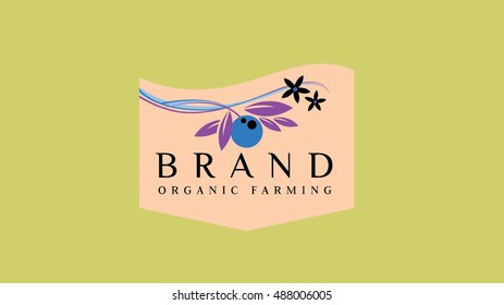Orange brand vector logo template. Oranges vector illustration