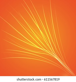 Orange bright background