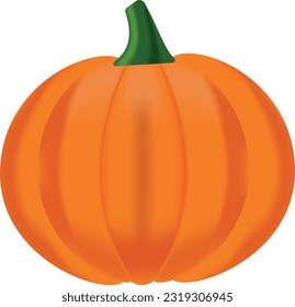 Orange bright pumpkin on a transparent background