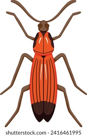 Orange and Brown Bug Illustration