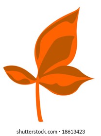 orange and brown leaves