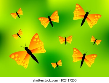 Orange butterflies on green background
