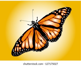 orange butterfly