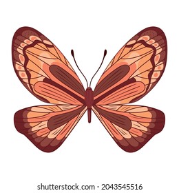 mariposa naranja con líneas negras