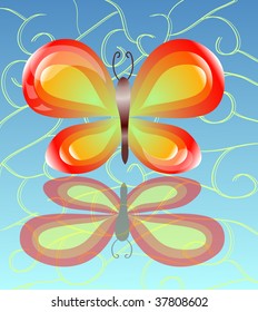 Orange butterfly in blue background