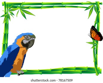 Orange butterfly and blue parrot sitting on the bamboo frame