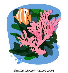 Orange butterfly fish, coral and algae. Vector illustration of the inhabitants of the seas and oceans. Coral reef ecosystem.