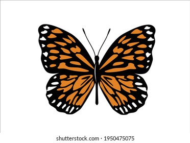 orange butterfly hand drawn design vector art