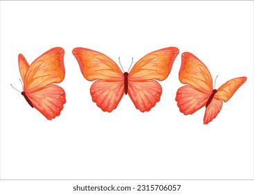 orange butterfly hand drawnn design