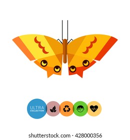 Orange butterfly icon