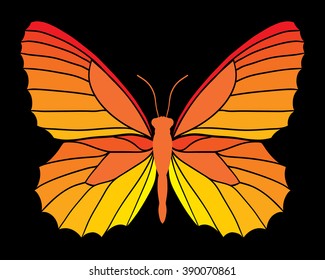 Orange butterfly isolated on black background. Vector illustration.