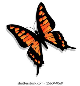 Orange butterfly, isolated on white background 