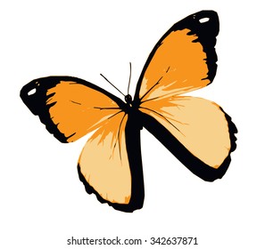 Orange butterfly , isolated on white