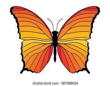 Orange butterfly isolated on white background. Vector illustration.