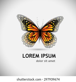 Orange Butterfly logo. Vector