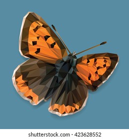 Orange butterfly low polygon