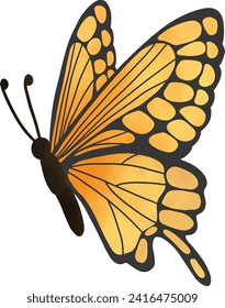 Orange Butterfly Side View Illustration	
