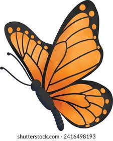 Orange Butterfly Side View Illustration