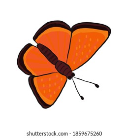 Orange butterfly with spread wings.  Colored vector illustration for design, cards, posters, as a design element or print.