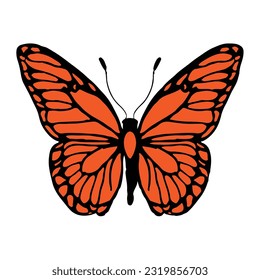 An orange butterfly in vector