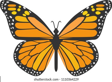 Free Free 78 Orange Butterfly Svg SVG PNG EPS DXF File