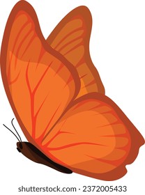 Mariposa naranja, fondo blanco, vector
