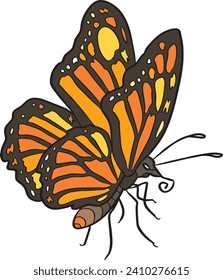 Orange Butterfly Wild Animal Vector Illustration