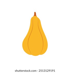 Vector de calabaza de mantequilla anaranjada aislado sobre fondo blanco. Calabaza de nuez dibujada a mano simple. Otoño, otoño, cosecha, Acción de Gracias y Halloween elemento. Calabaza