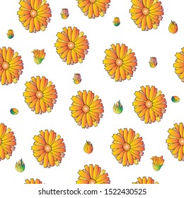 orange calendula flower seamless pattern