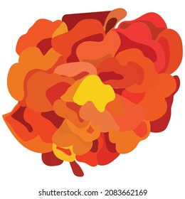 Orange calendula, flower, symbol of the Mexican holiday Day of the Dead. Vector stock illustration isolated on white background.