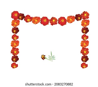 Orange calendula, symbol of the Mexican holiday Day of the Dead. Garland of flowers. Vector stock illustration isolated on white background.