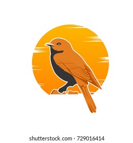 Orange Canary bird with the sun behind it, creative concept of bird logo design svg