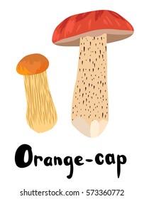 Orange Cap Wild Mushrooms with Typography