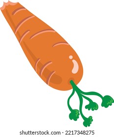 Orange Carrot with a bite mark vector illustration on white background