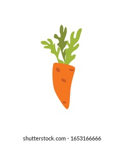 Orange carrot colorful cartoon vector illustration. Organic healthy food flat style icon isolated. Vegetable concept for farm market, vegetarian, vegan recipe design