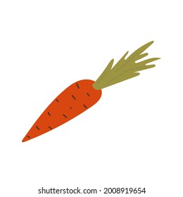 Orange Carrot flat hand drawn style icon graphic design. Vector illustration