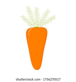 Hortalizas planas de zanahoria naranja sobre fondo blanco para el diseño. Conjunto de signos aislados del vector. Producto natural. Ilustración vectorial plana.