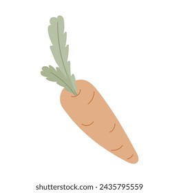 Orange carrot with green leaves on white background